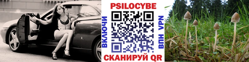 Псилоцибиновые грибы Psilocybe  сколько стоит  Азнакаево 
